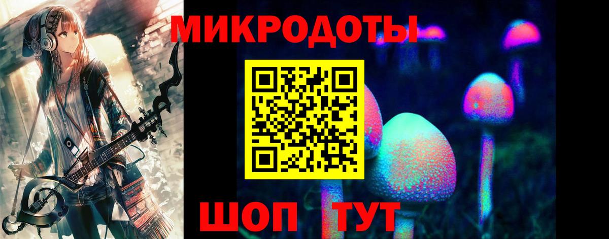 Галлюциногенные грибы прущие грибы Сосновый Бор